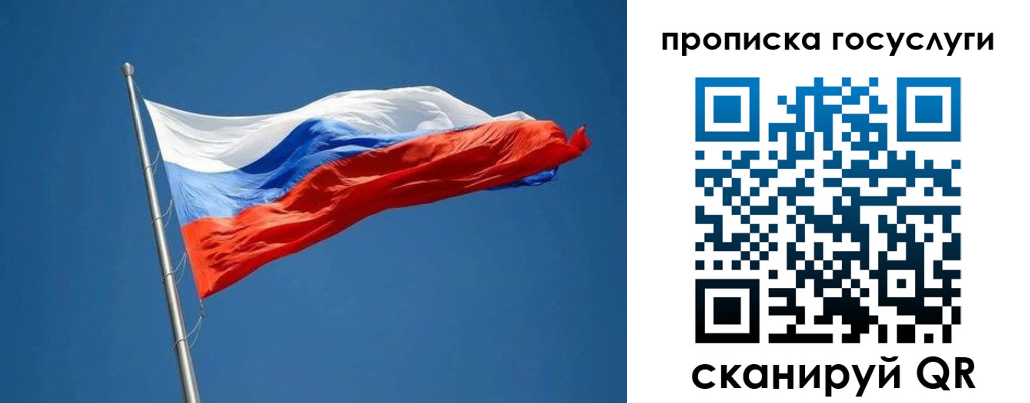 прописка от собственника в Волосово